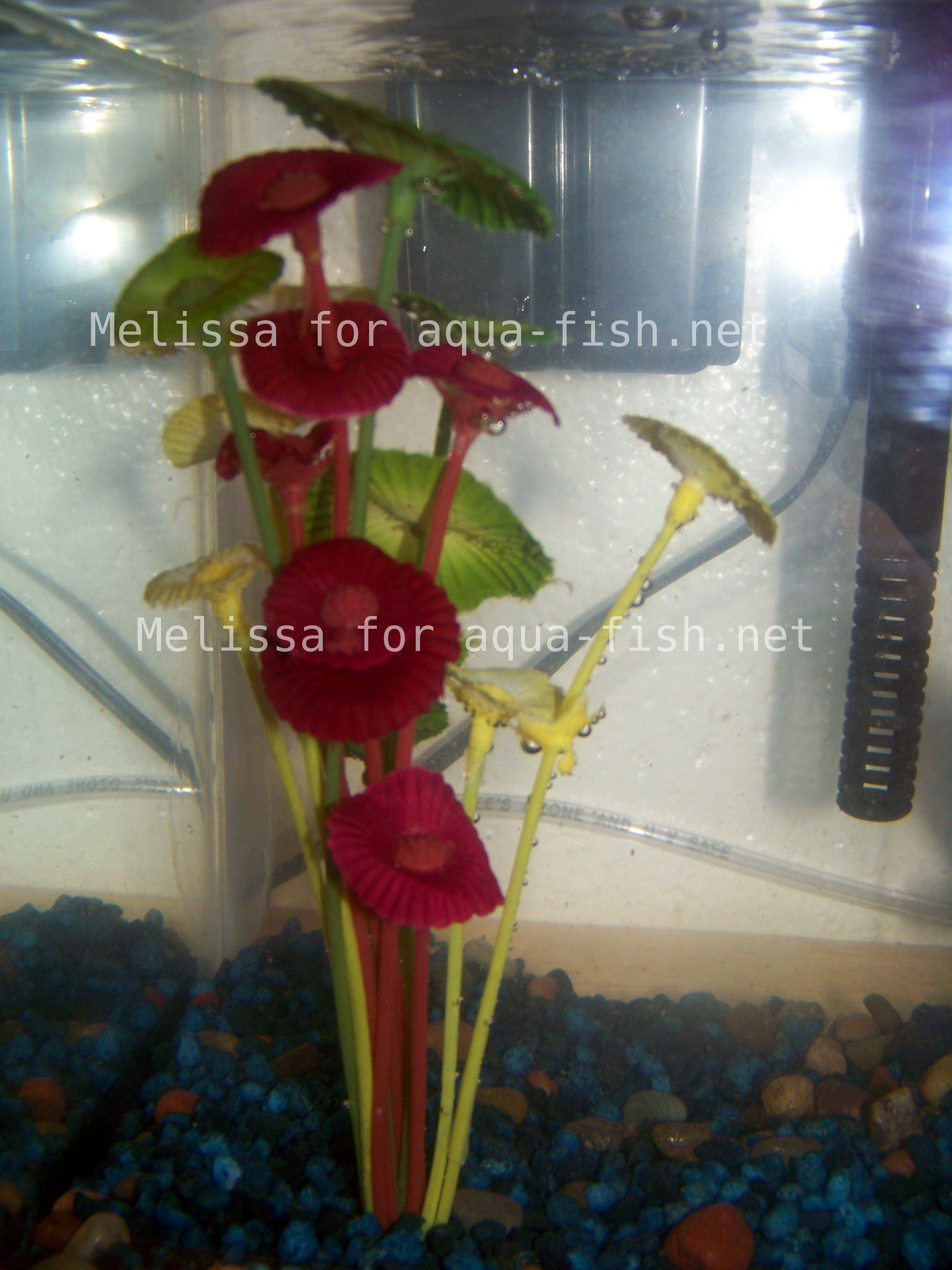 Silk Plants USA