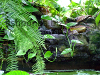 Resized image of pond waterfall
