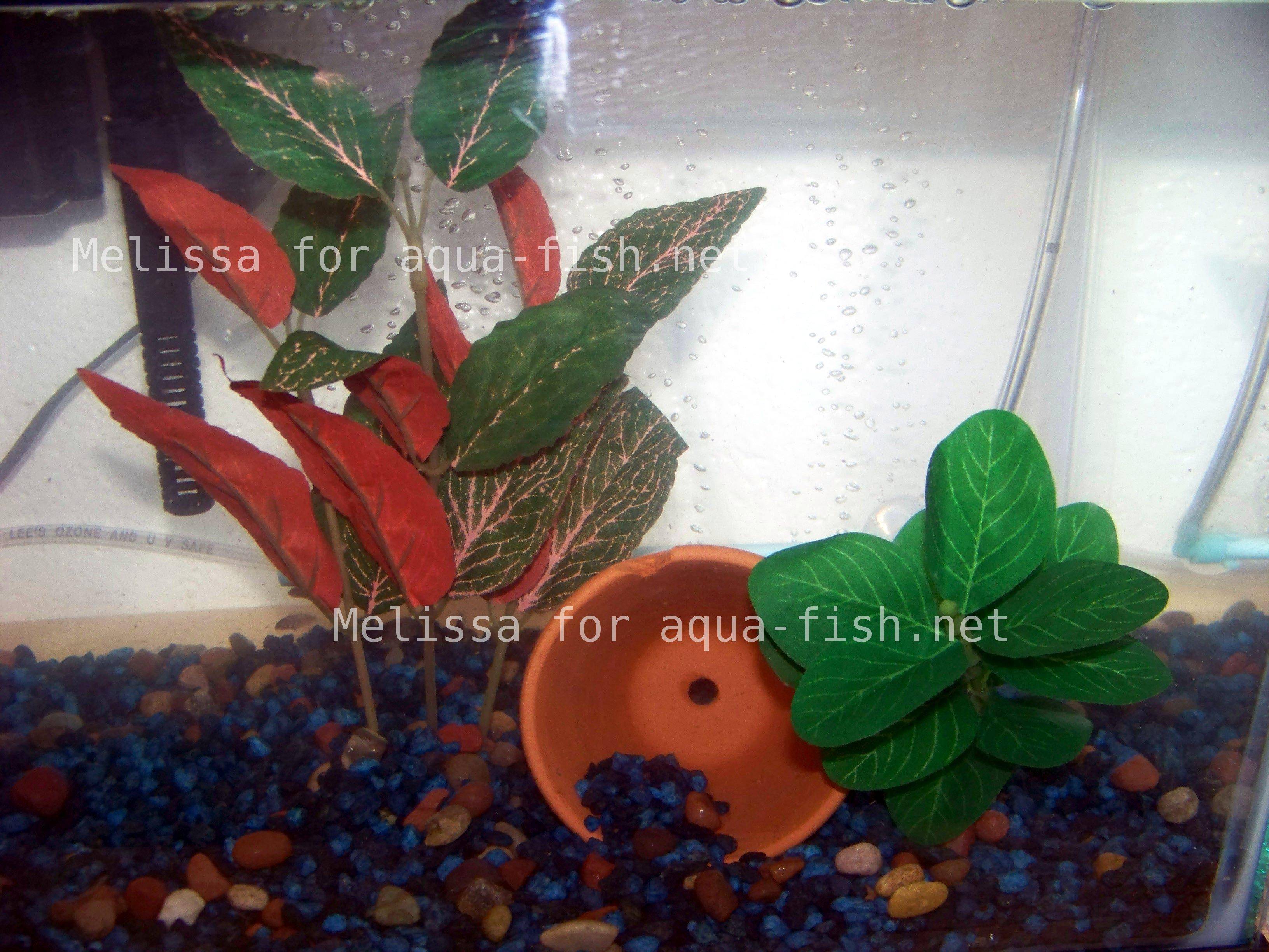 Advantages of using silk aquarium plants